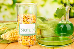 Burniestrype biofuel availability