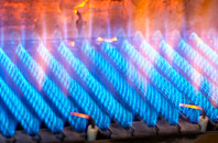 Burniestrype gas fired boilers